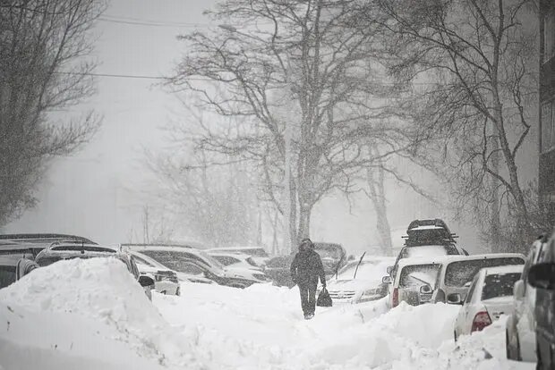    Источник: lenta.ru/ Иван Гаврилов