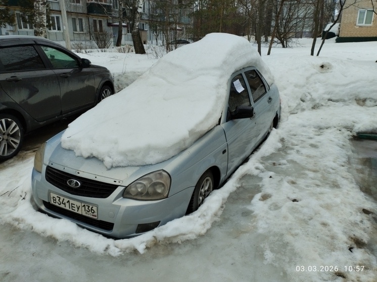     Источник: Администрация города Тамбова