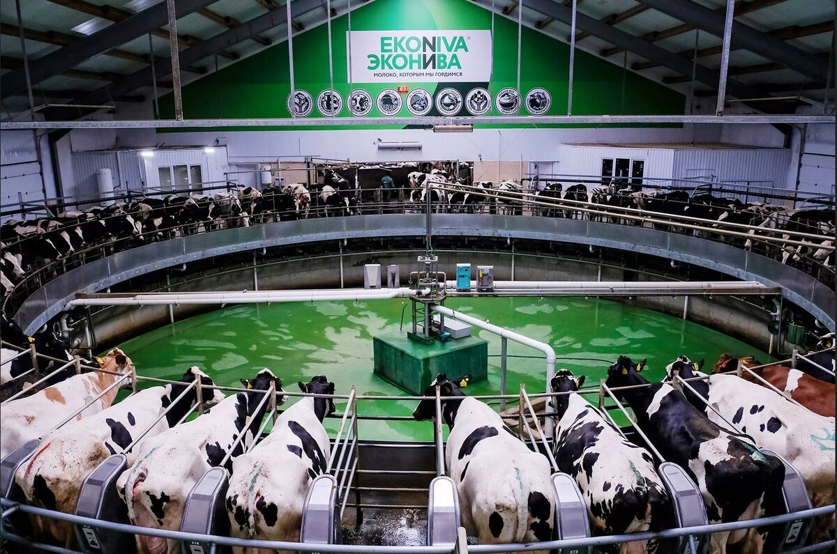 Одна из молочных ферм ЭкоНивы. Источник фото: Яндекс.Картинки