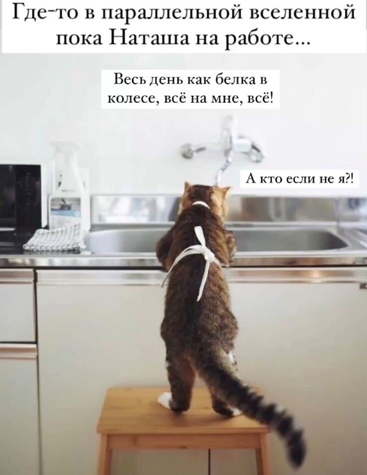 Яндекс картинки 