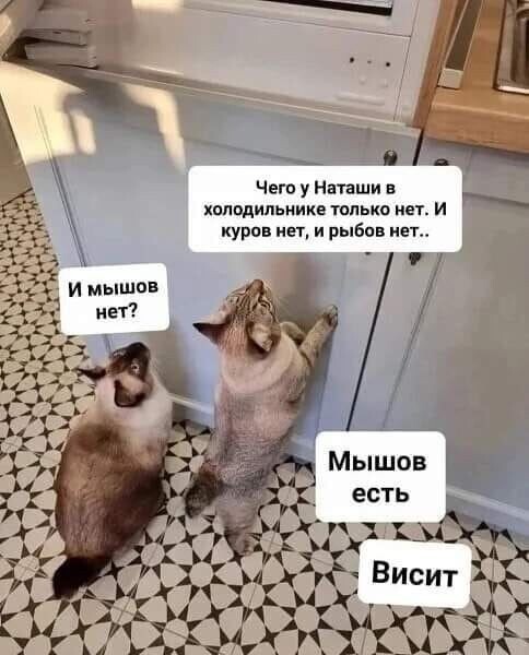 Яндекс картинки 