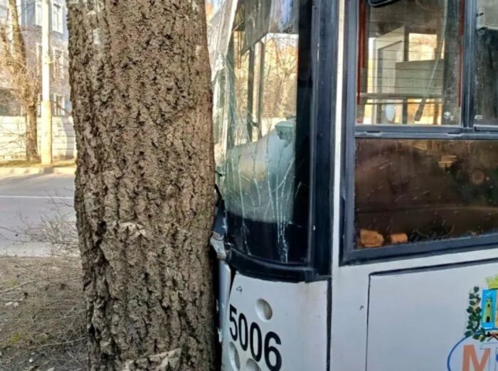 Иллюстрация: ТГ Это Ростов