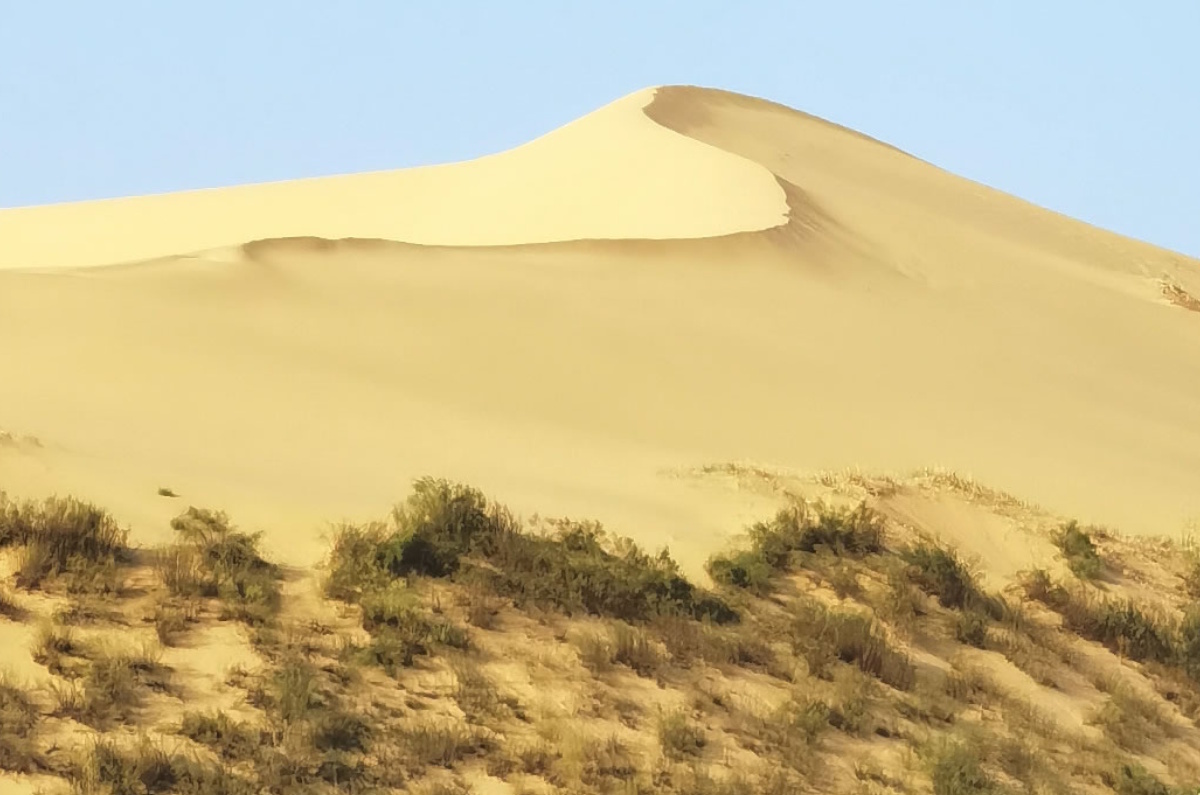Сарыкум в переводе значит «жёлтые пески». Название созвучно с Каракум (Туркменистан) — «чёрные пески», и Кызылкум (Узбекистан) — «красные пески».
