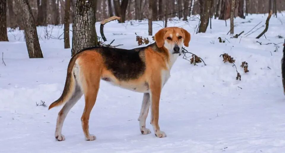    REGIONS/Эльвира Сафина