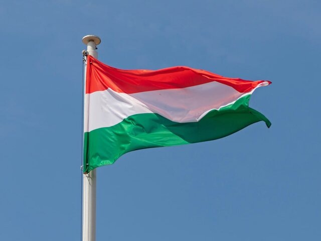    Фото: depositphotos/Baloncici