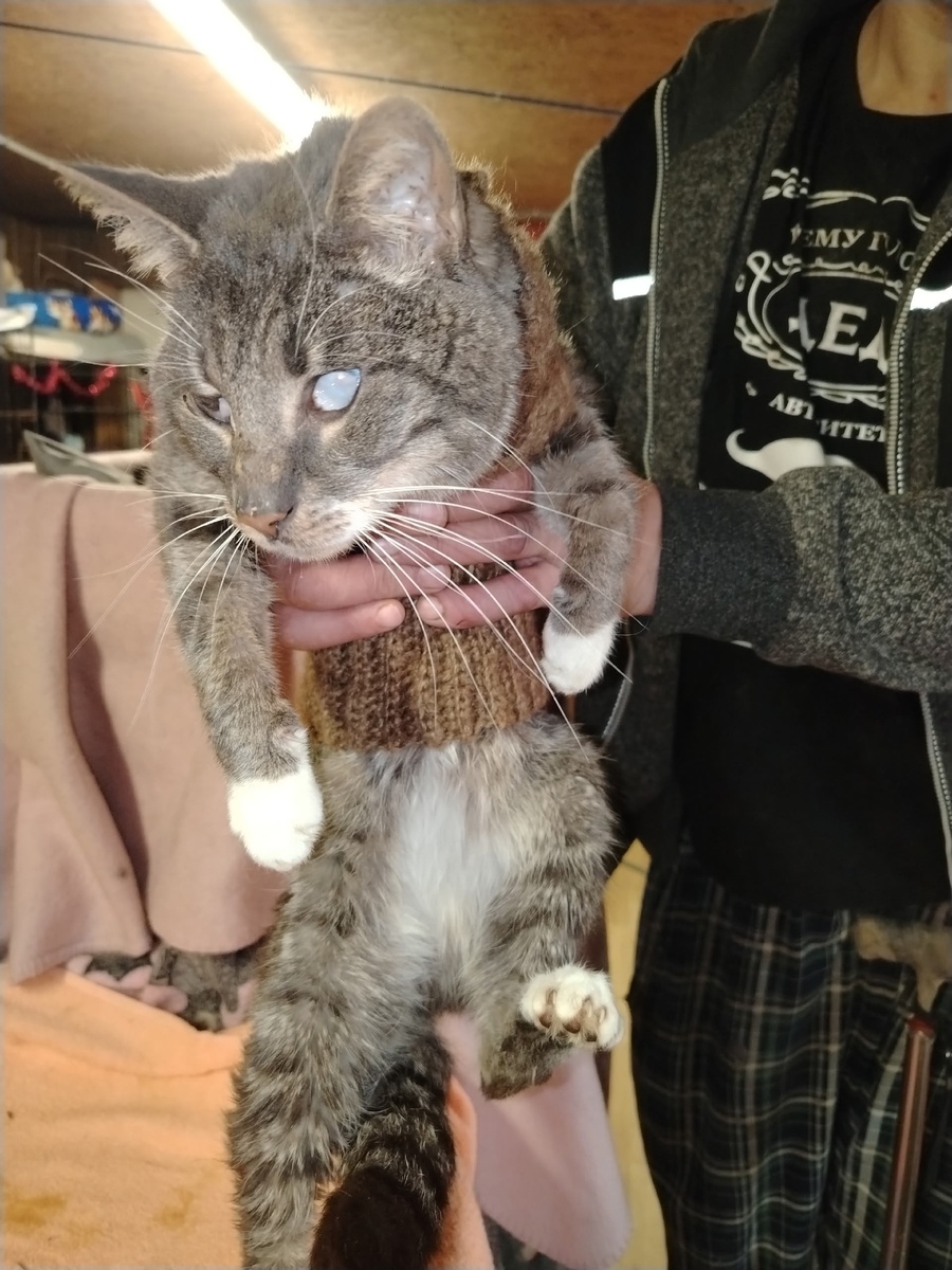 Да, я слепой дед в вязаном свитере, но я всё ещё руковожу этим заведением. Несите бульон!