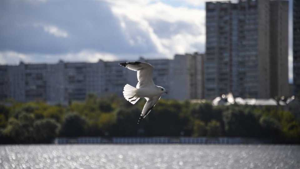 На углубление дна Азово-Донского канала потратят 107,6 млн рублей
