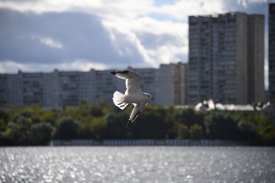    На углубление дна Азово-Донского канала потратят 107,6 млн рублей. Михаил ФРОЛОВ