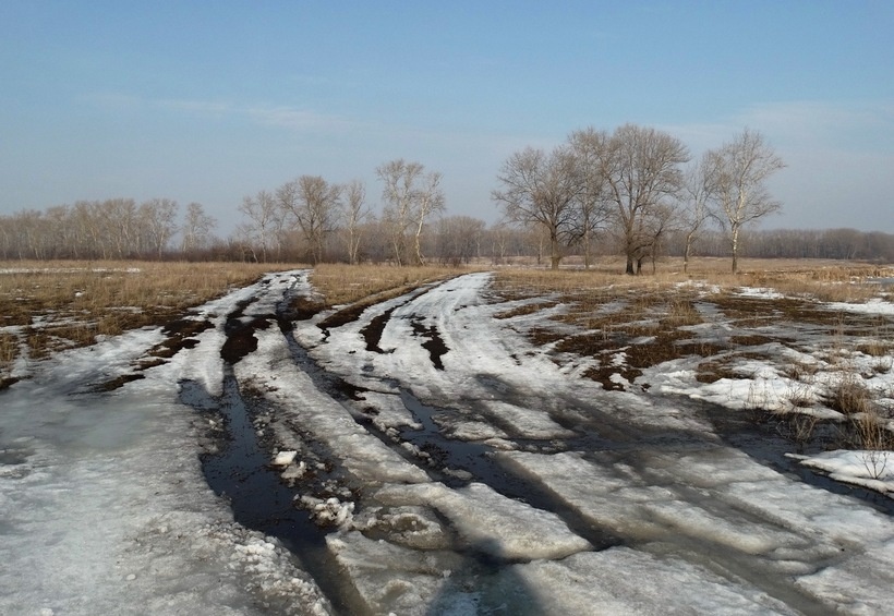 Яндекс Картинки