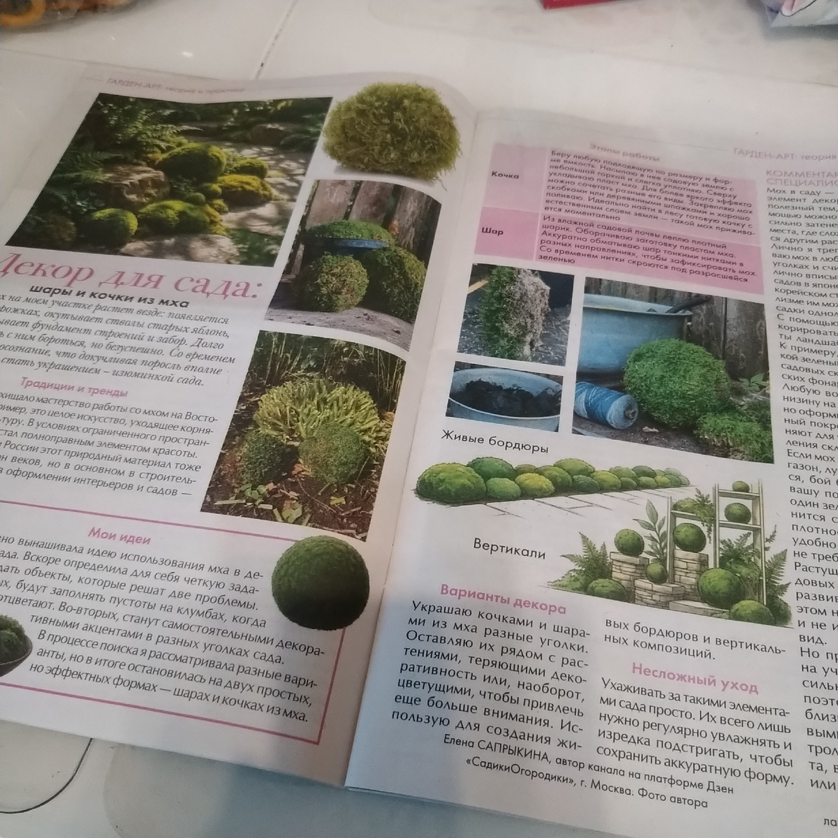 Статья про мои моховые шары и кочки