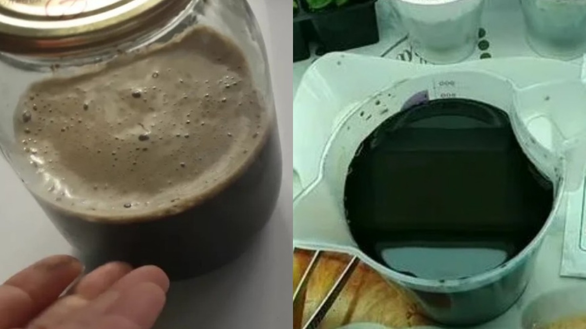 Слева — живой маточный раствор с колонией бактерий на поверхности. Справа — мертвый препарат. Разница видна невооруженным глазом