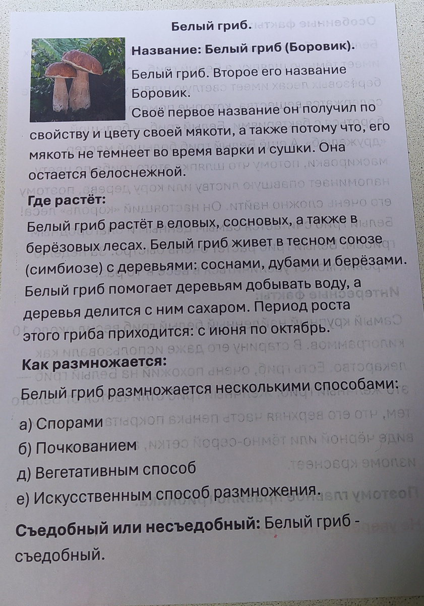 Фотография автора Личный рассказ (доклад) из раздела биологии про "Грибы"