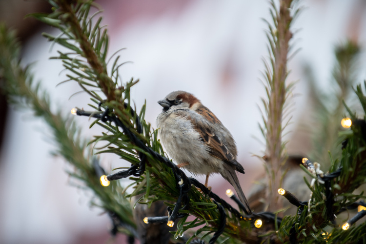    Фото: Юлия Федотова