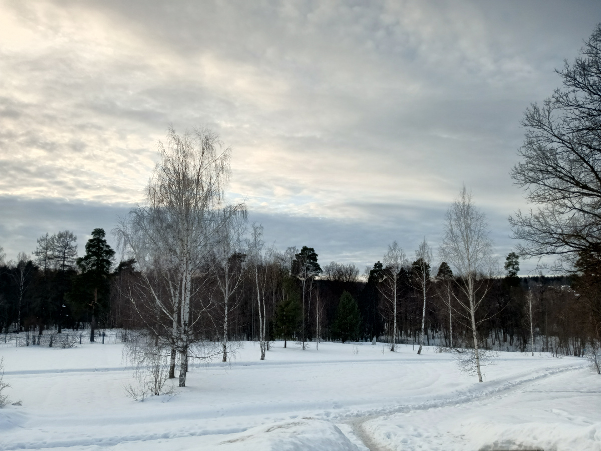 Вид на Гефсиманский сад. 