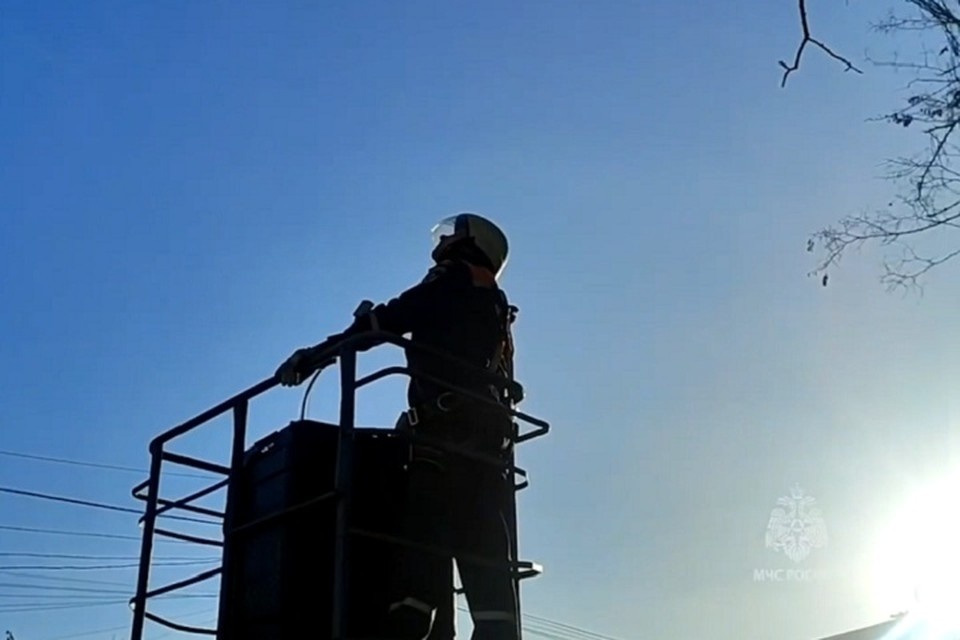    С помощью спецтехники специалисты аккуратно сняли енота с верхушки дерева и благополучно доставили его на землю. Фото: МЧС России по ДНР