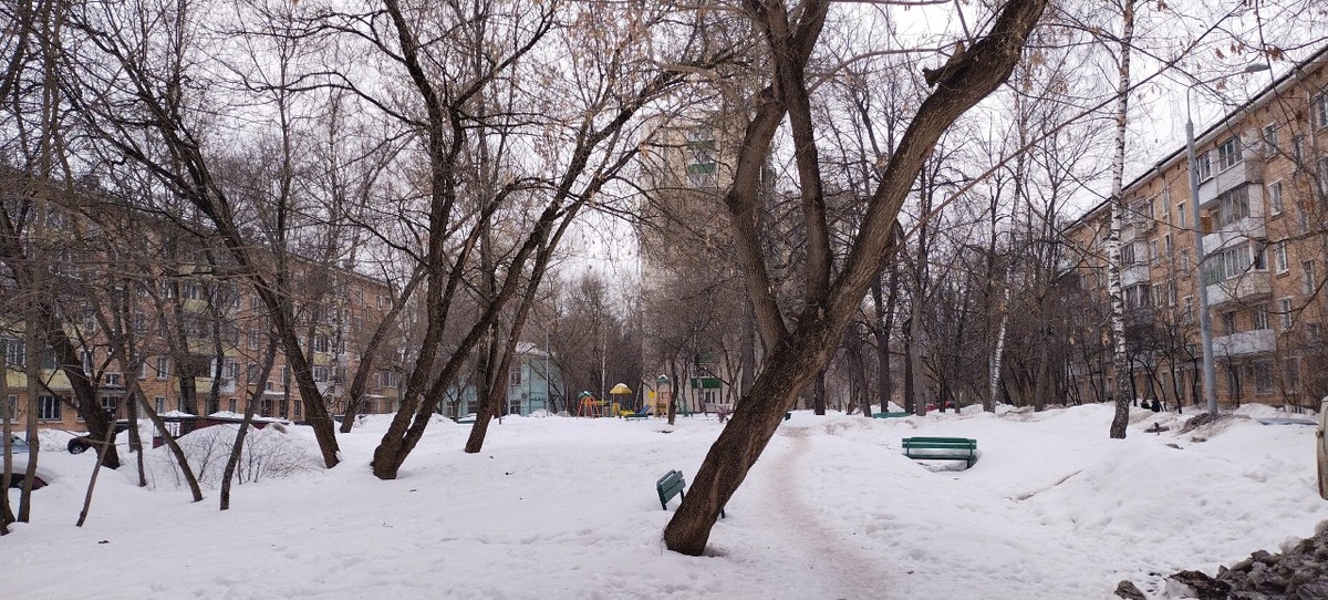 1. Сквер превращенный в пустырь между Кронштадский 25 и Кронштадский 23