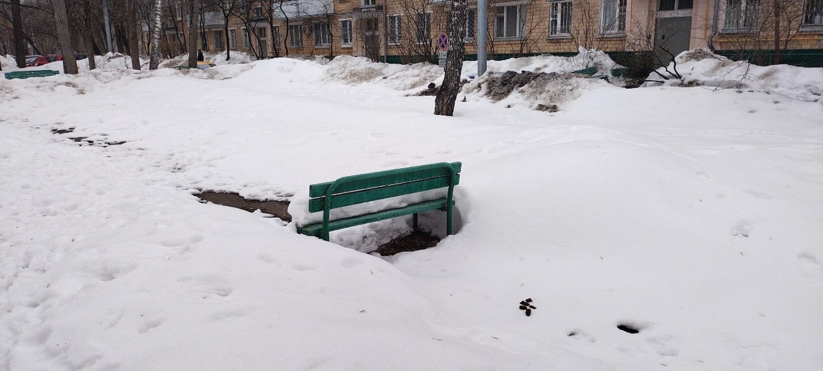 2. Лавочка. Вид с тыла 