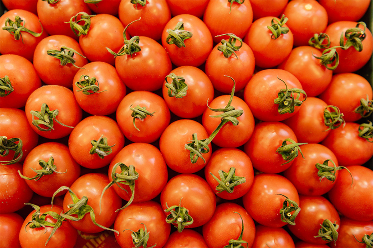    Снимок носит иллюстративный характер. Фото: Tochka.by