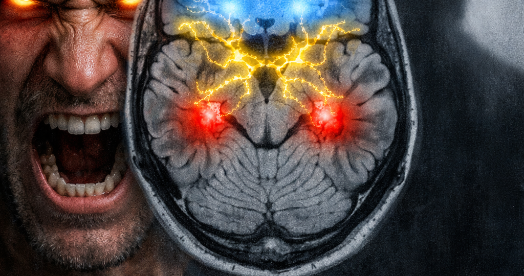 Враг по вызову: почему наш мозг требует ненависти, даже когда всё хорошо