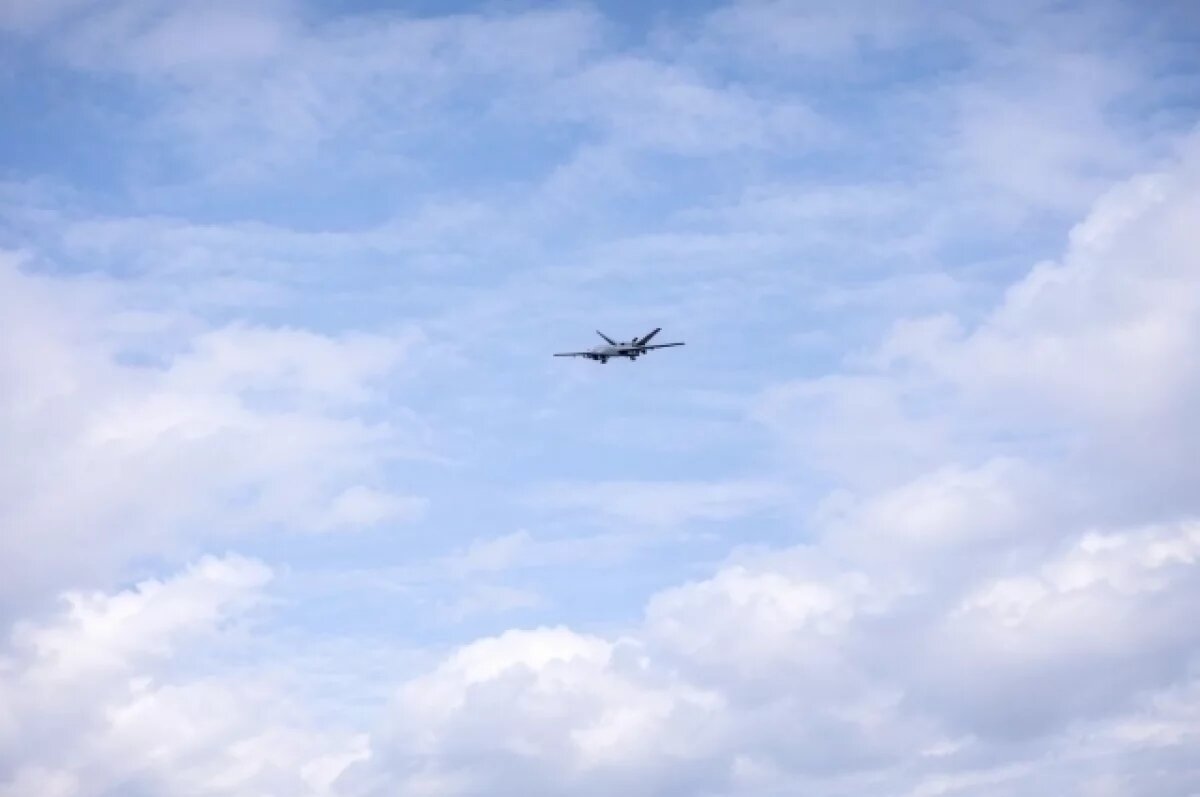    CBS: США за восемь дней потеряли 11 дронов MQ-9 Reaper