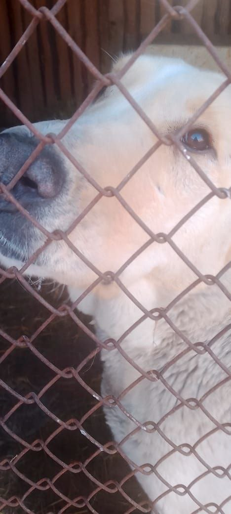 Наша Зарина 😍