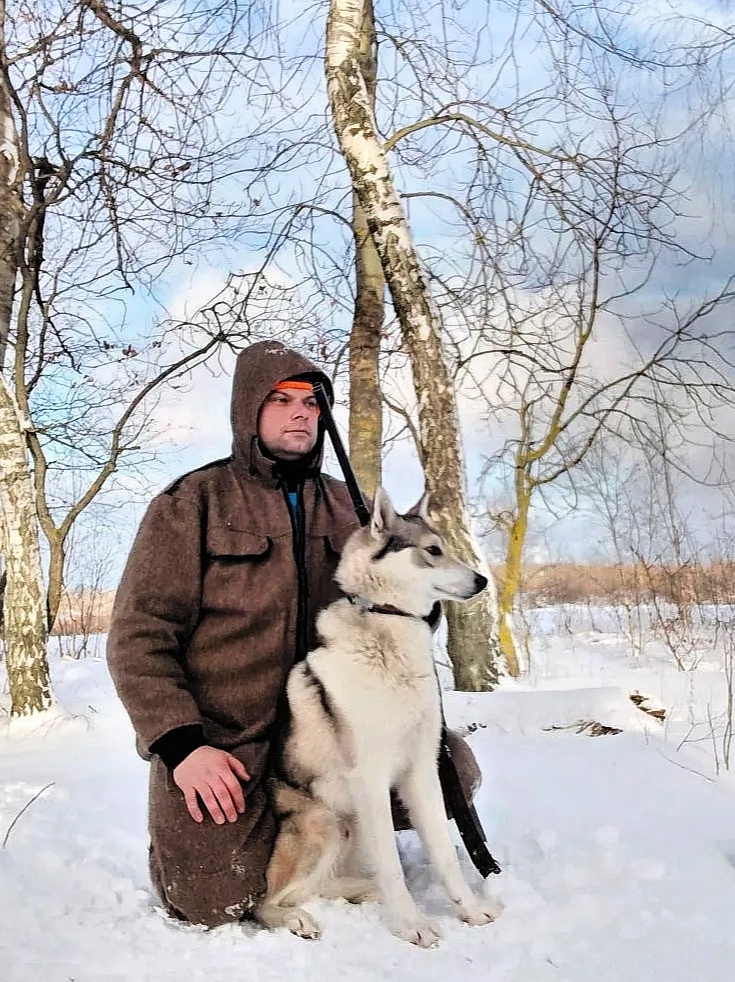 Западно-сибирская лайка