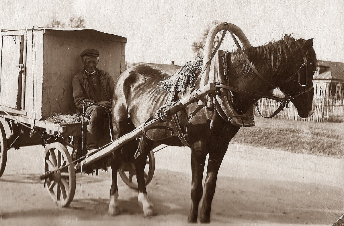 Аромат детства: хлебовозка на лошадиной тяге — символ деревенской жизни