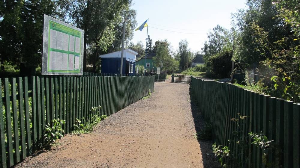    Некислица - Сопыч. Фото: «Брянские новости»