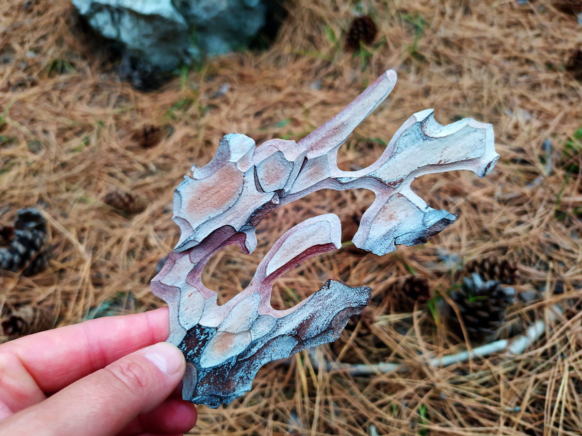 Находка в лесу