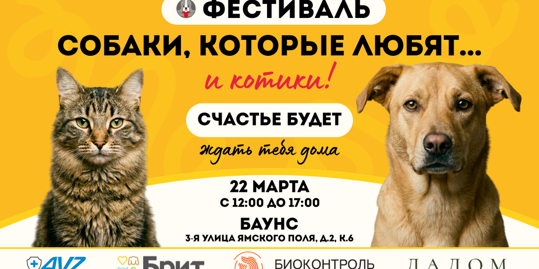 Что вас ждет на фестивале "Собаки, которые любят... и котики!"