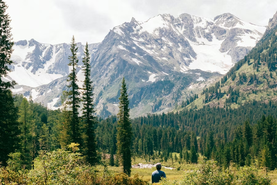 Источник фото: https://unsplash.com/photos/man-standing-near-forest-pCgQBi-wvTU