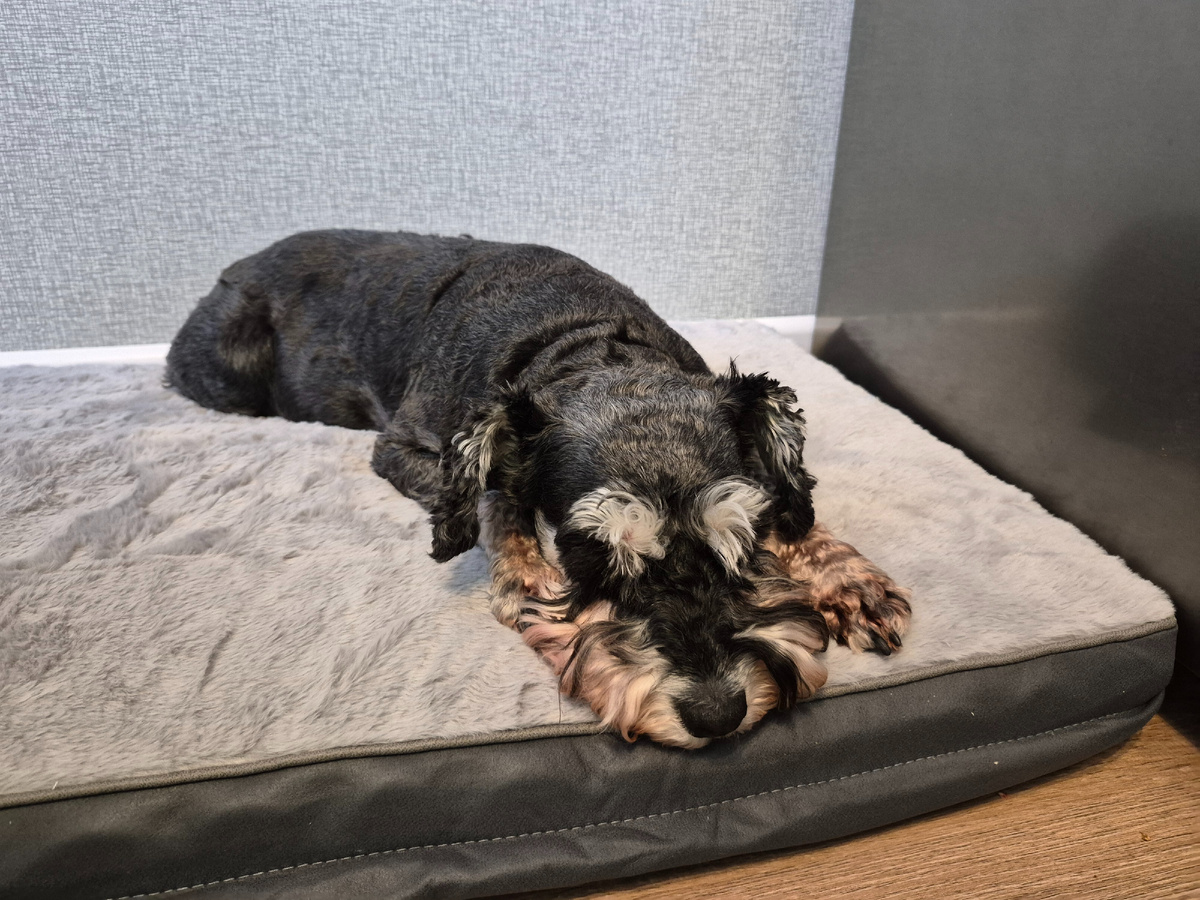 На своем новом "диване"