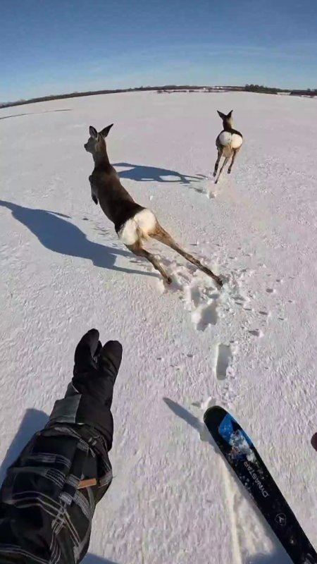     Паблик Сноуборд Кайт Курск / ВК