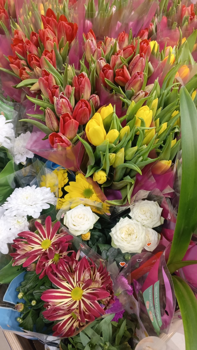 фото автора: просто весенняя тема, цветы