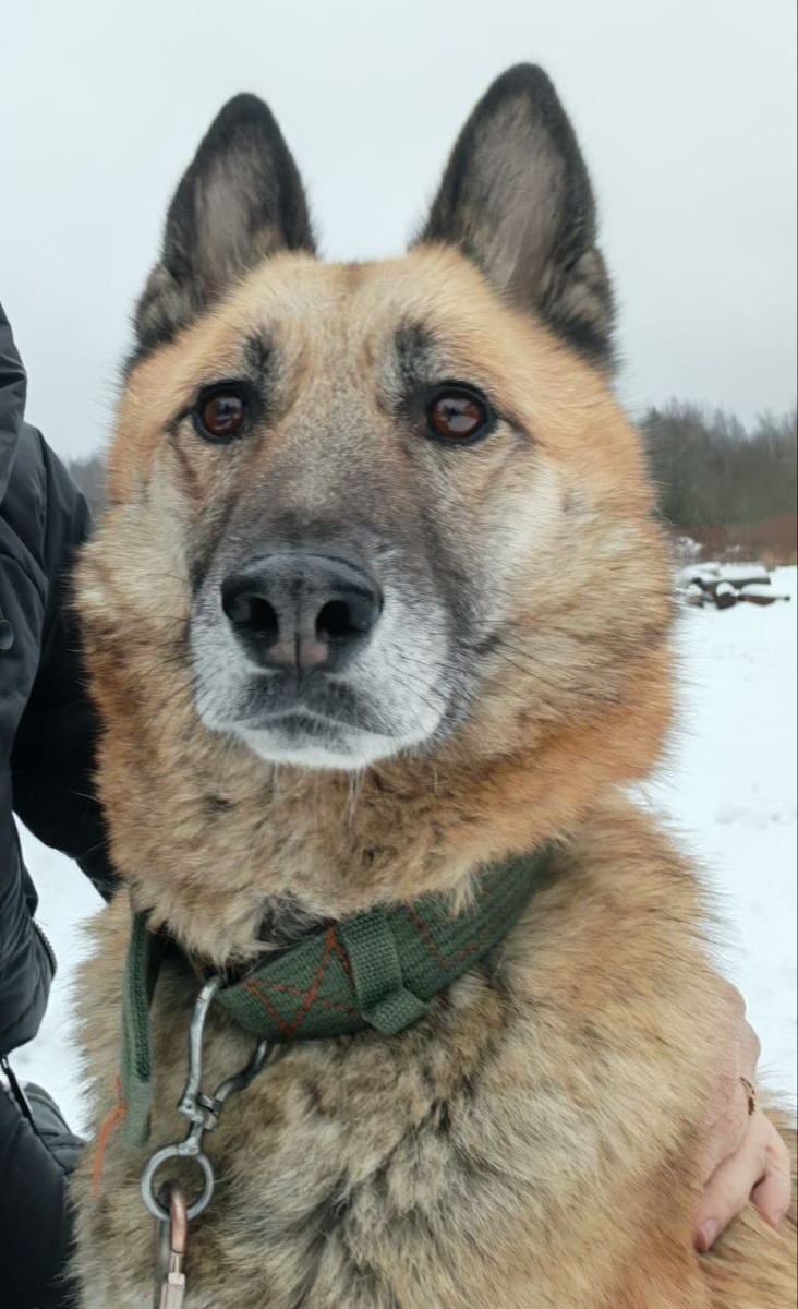 Ну красавчик же!