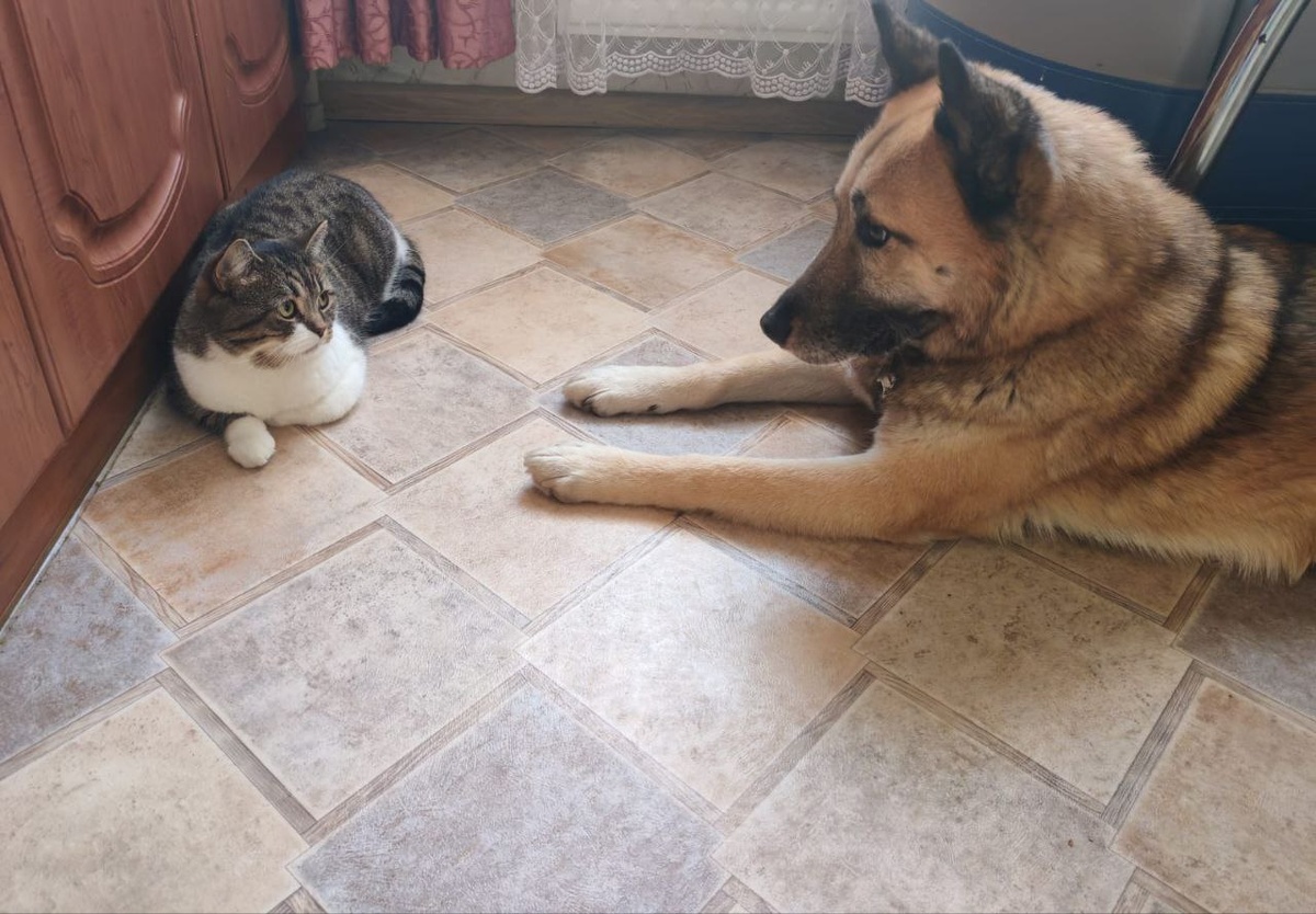 И даже не поговорим?