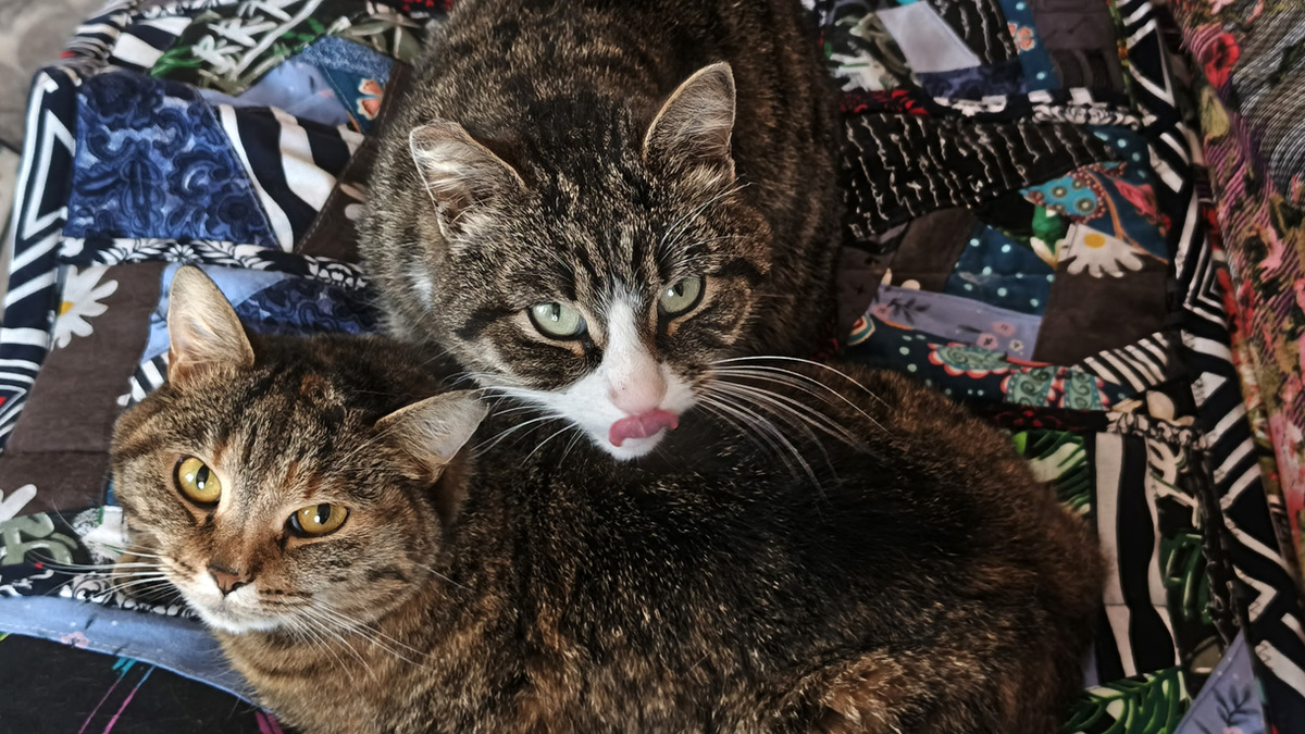 Дизель дразнится