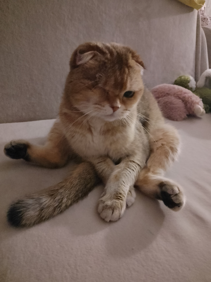 Ну здесь по крайней мере хоть попытка изящества от нашей раскоряки