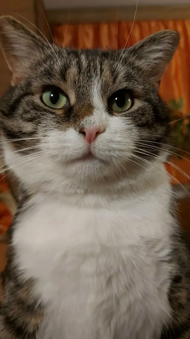 Клим Мишка тоже поздравляет милых дам с 8 Марта! 💗