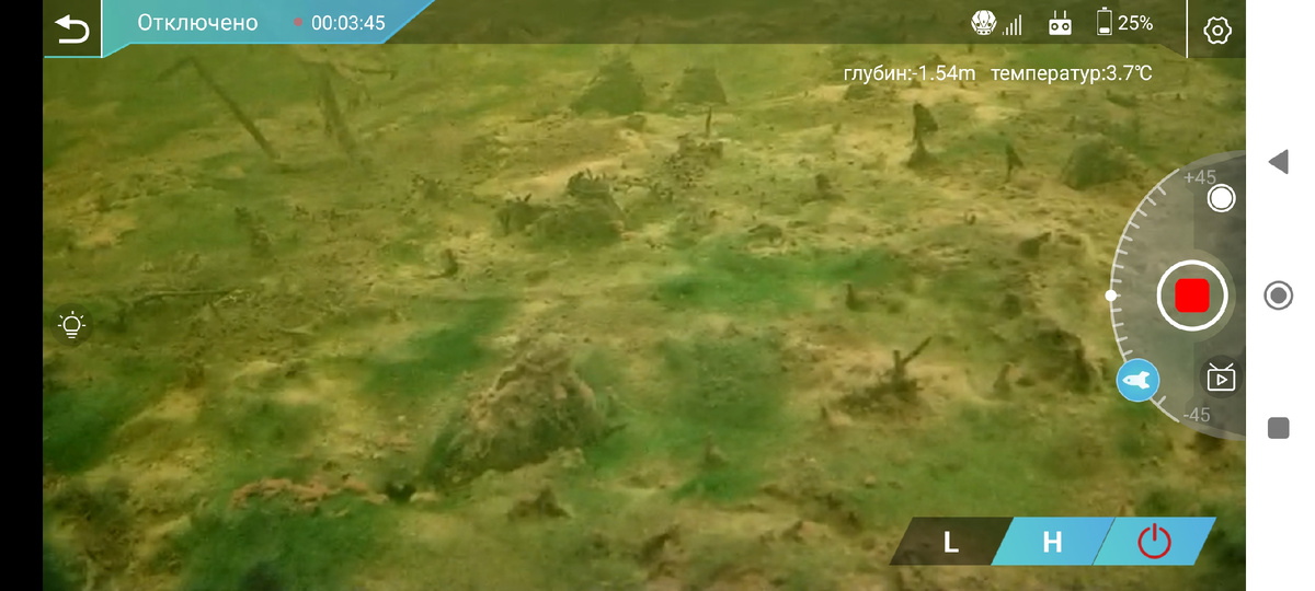 А это Беззубки