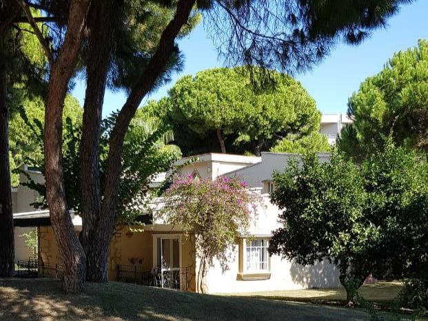 Жить среди сосен: обзор турецкого отеля Pine Beach Belek 5*