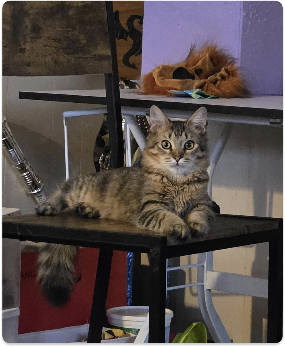 Источник: Artistic-Listen7975 / https://bit.ly/40lLZBu 