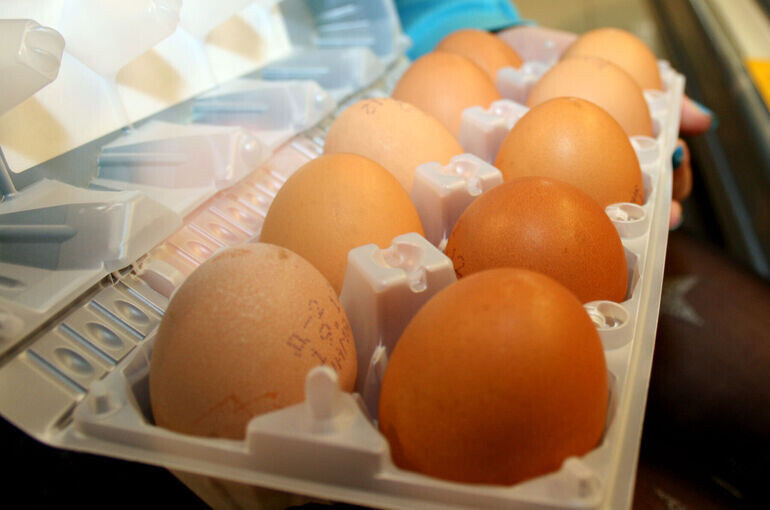   Елена Морозова/«Парламентская газета»