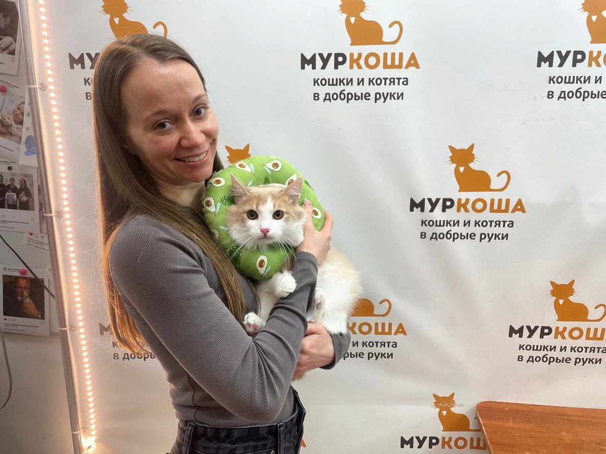 Нежный Процион стал домашним. 