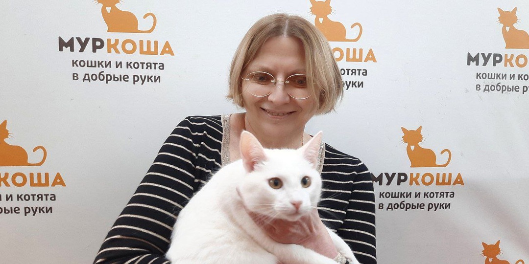 Эти питомцы стали членами добрых семей