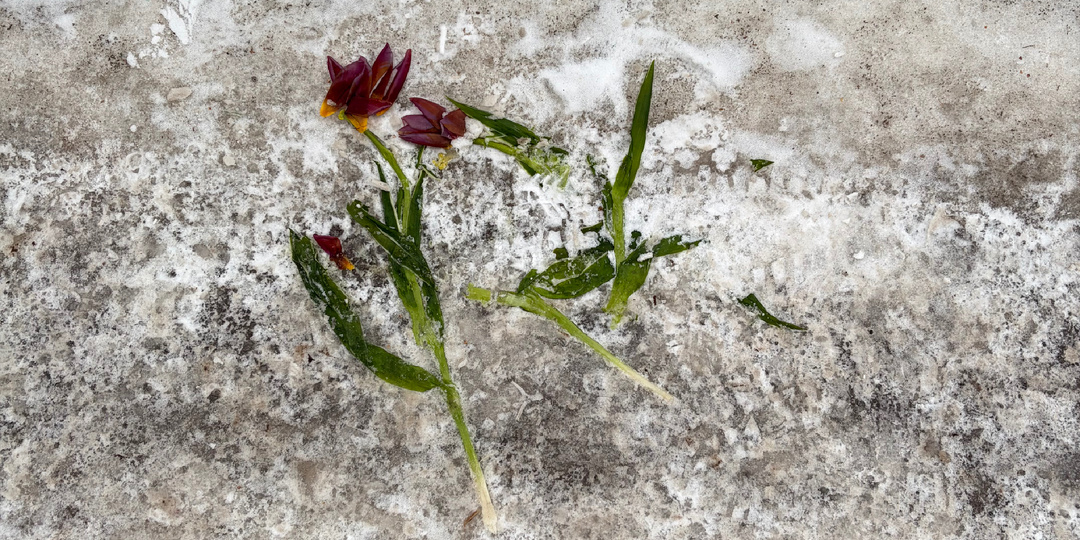 Праздники кончились