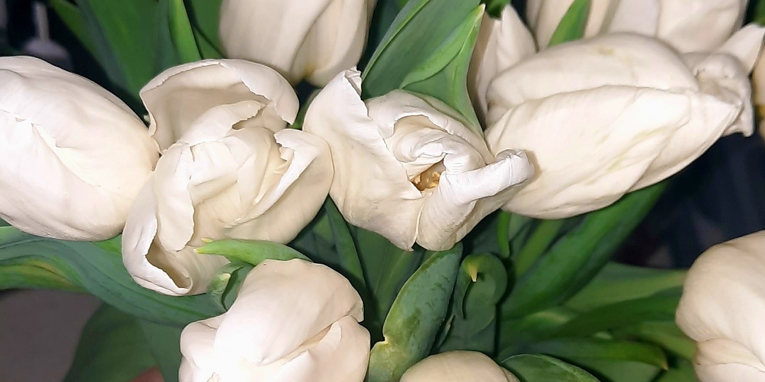 Агате 8 месяцев: маленькая фотосессия и подарки