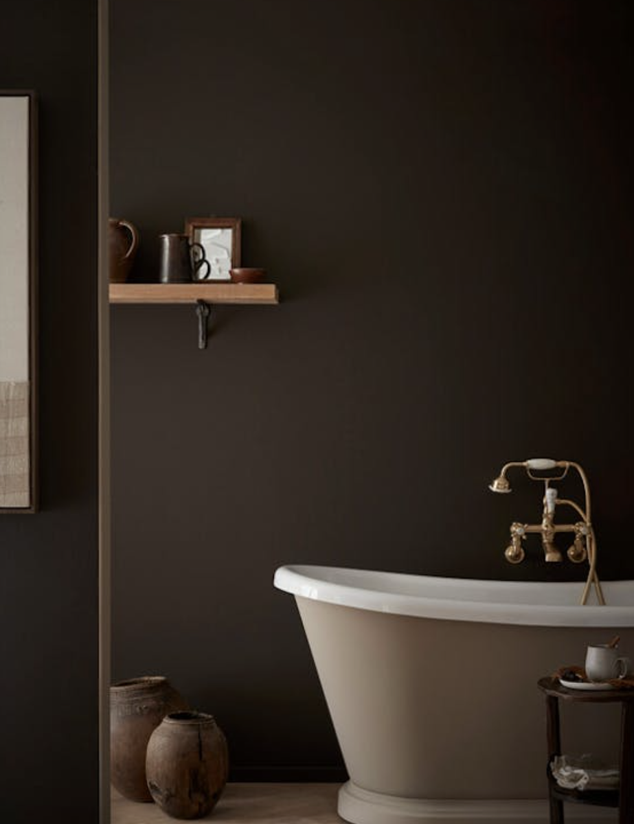 СТЕНЫ: CHOCOLATE COLOUR; ВАННА: ROLLING FOG - DARK, ВСЕ — LITTLE GREENE.
