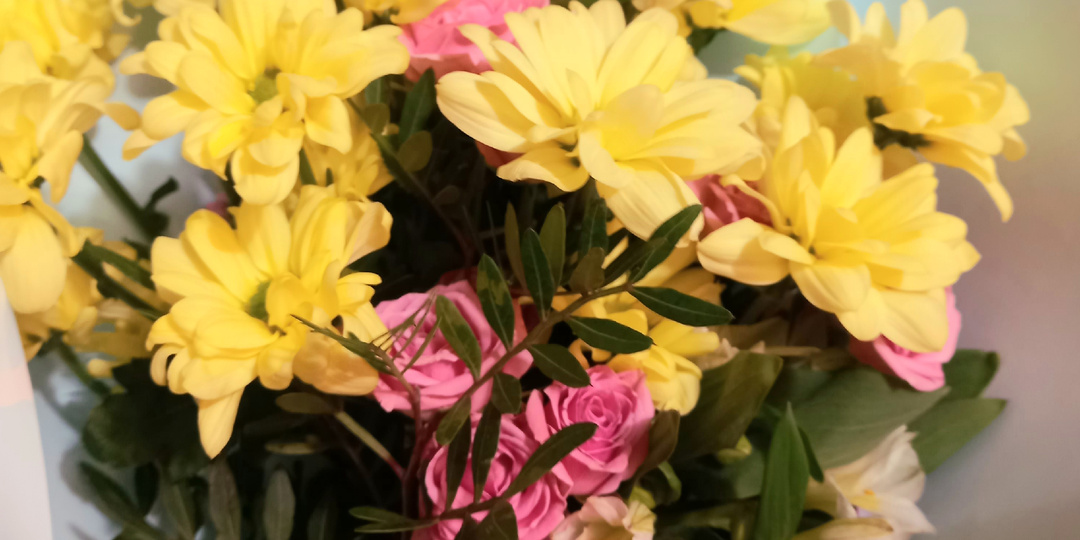 Про продажи на Avito , праздник и про другое.