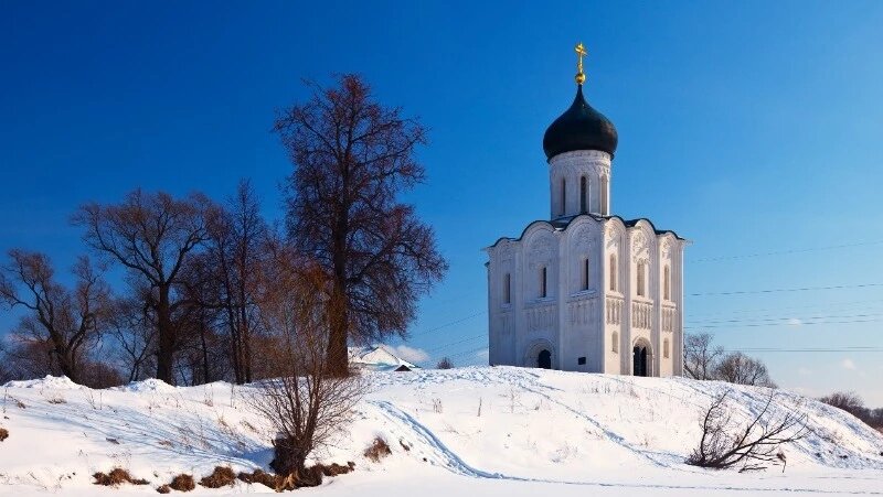      Фото: @bearfotos / ru.freepik.com